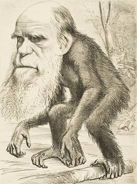 ダーウィンによる進化論とその後の進化論|株式会社バイオーム