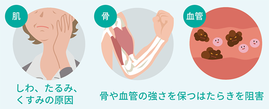 最終糖化産物測定 AGEs Advanced Glycation Endproducts｜東新宿歯科 ...